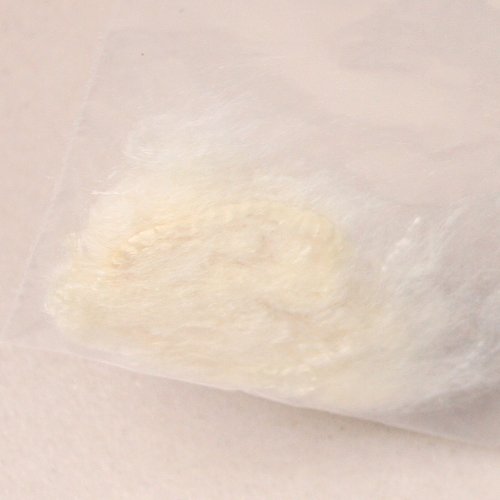 大豆健康被