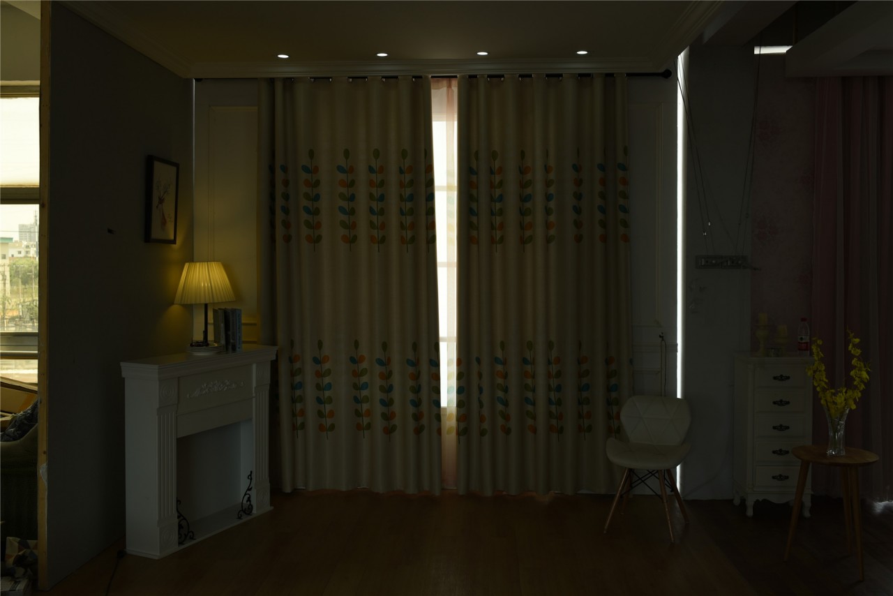 YL01AC01